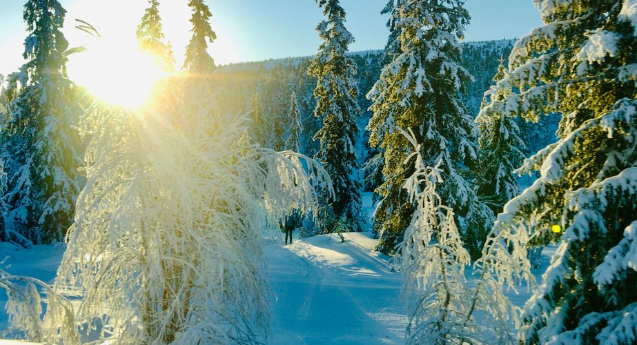 Zweden Winter Nieuw 4 Zweden Winter Nieuw 4